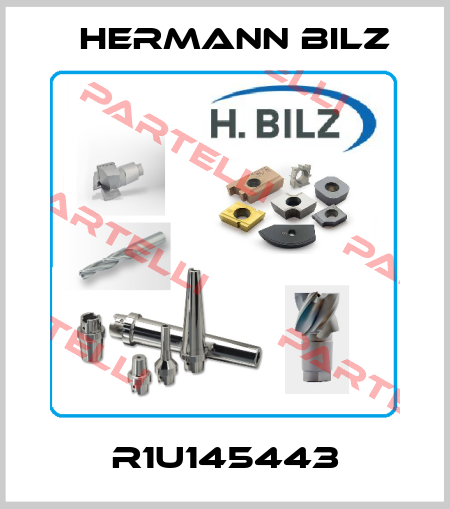 R1U145443 Hermann Bilz
