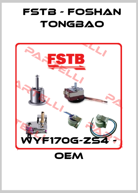 WYF170G-ZS4 - OEM FSTB - Foshan Tongbao