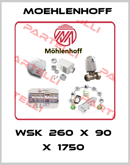 WSK  260  X  90  X  1750  Moehlenhoff