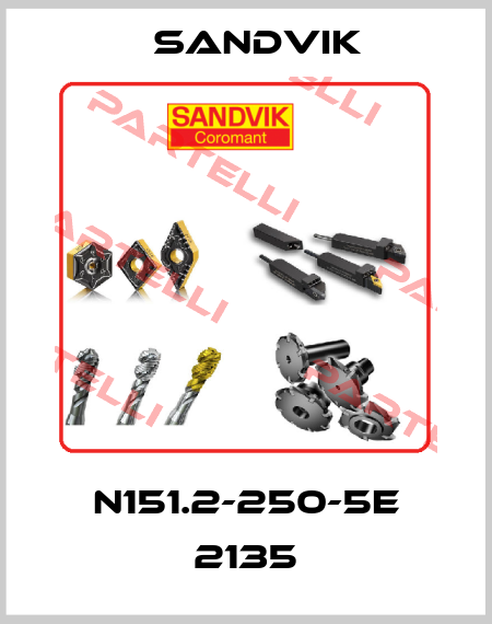 N151.2-250-5E 2135 Sandvik
