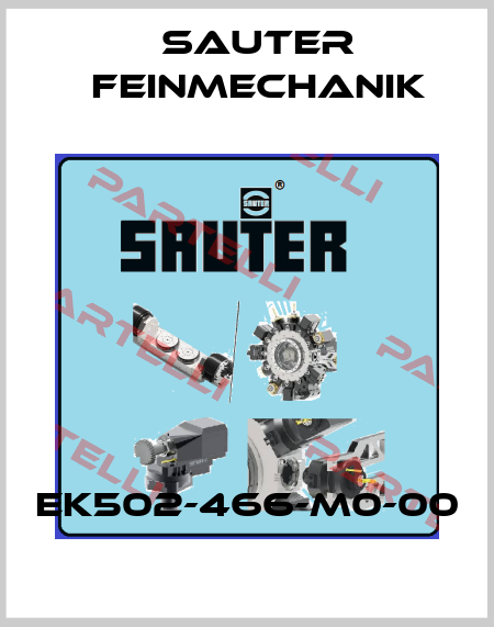 EK502-466-M0-00 Sauter Feinmechanik