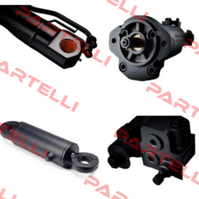 1PLL36-36DE10R Roquet pump