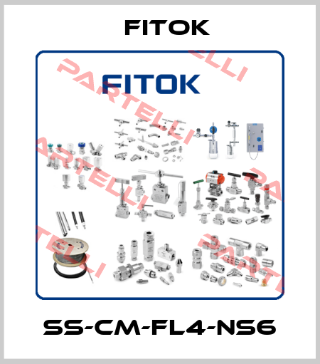 SS-CM-FL4-NS6 Fitok