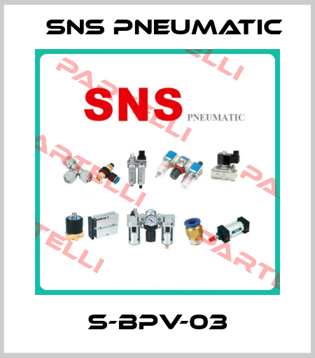 S-BPV-03 SNS Pneumatic