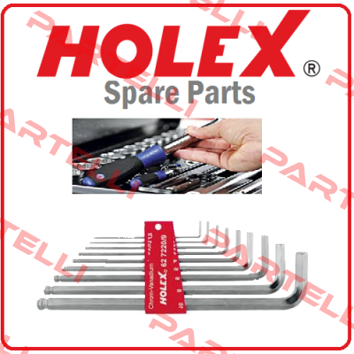 651500 E18 Holex