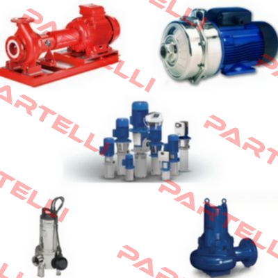 NSCE 40-200/92/P26VCSZ Lowara