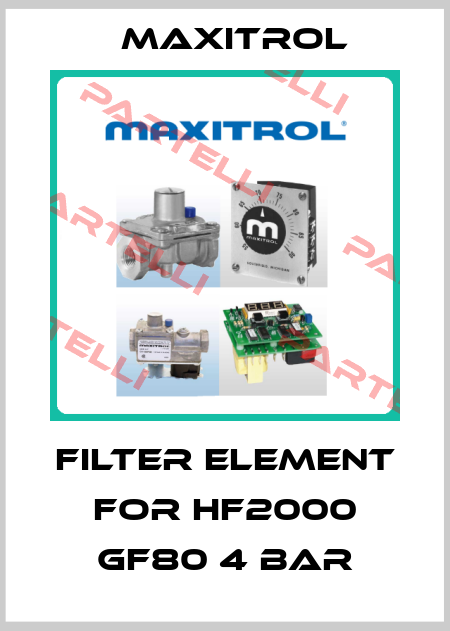 filter element for HF2000 GF80 4 BAR Maxitrol