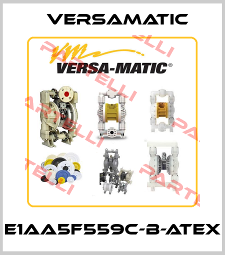 E1AA5F559C-B-ATEX VersaMatic