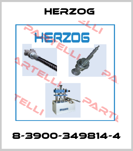 8-3900-349814-4 Herzog