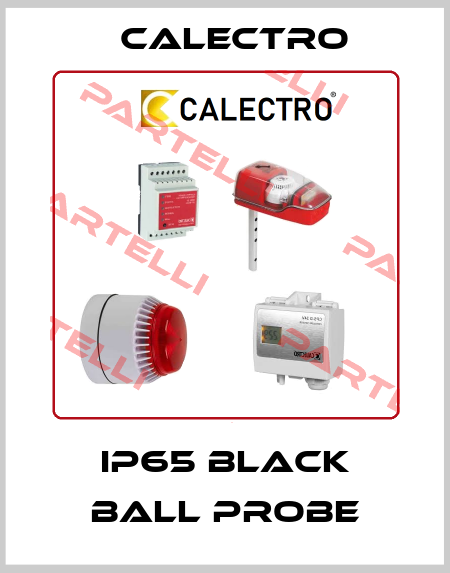 IP65 black ball probe Calectro