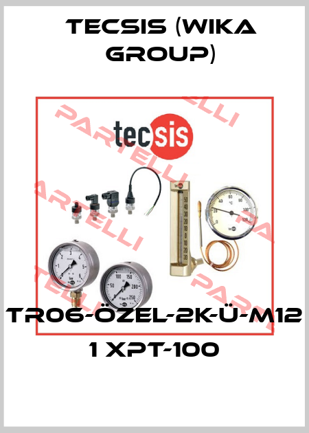 TR06-ÖZEL-2K-Ü-M12  1 XPT-100 Tecsis (WIKA Group)