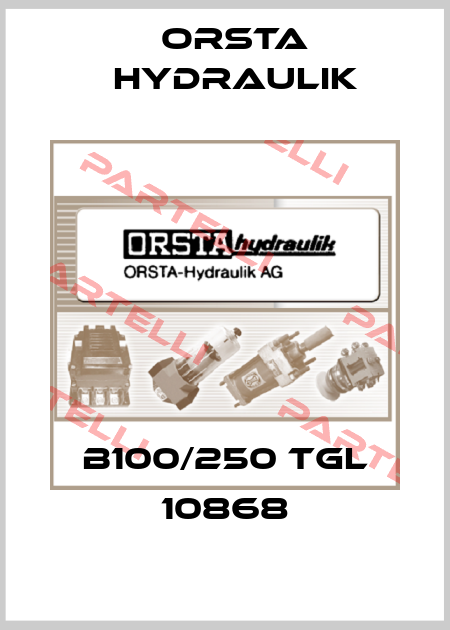 B100/250 TGL 10868 Orsta Hydraulik