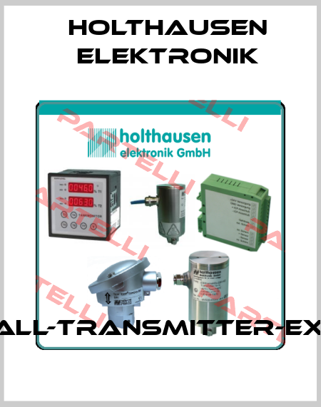 ESW®-small-Transmitter Ex-i_M 10-25 HOLTHAUSEN ELEKTRONIK