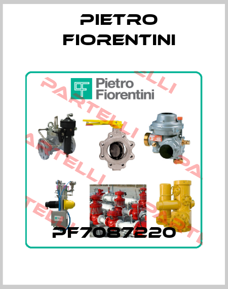 PF7087220 Pietro Fiorentini