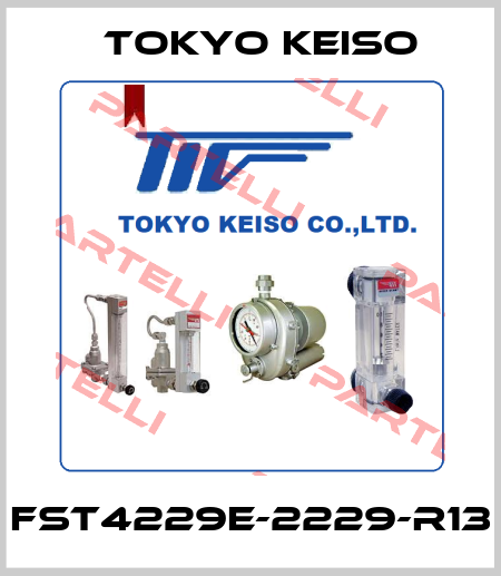FST4229E-2229-R13 Tokyo Keiso
