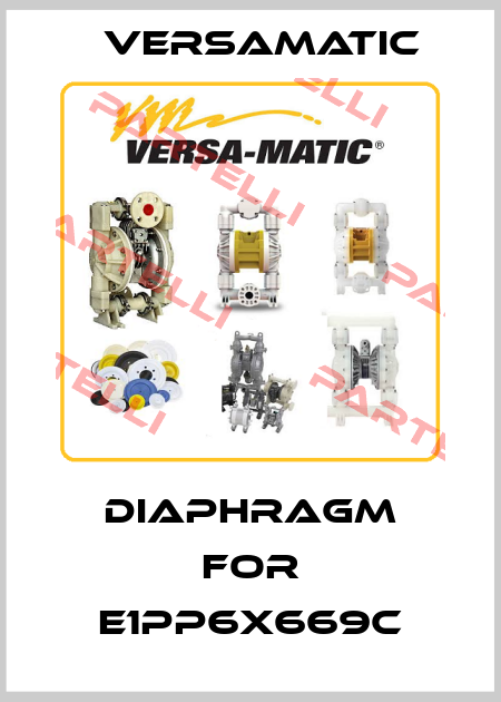 diaphragm for E1PP6X669C VersaMatic