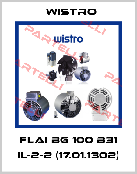 FLAI BG 100 B31 IL-2-2 (17.01.1302) Wistro