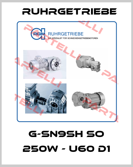 G-SN9SH So 250W - U60 D1 Ruhrgetriebe