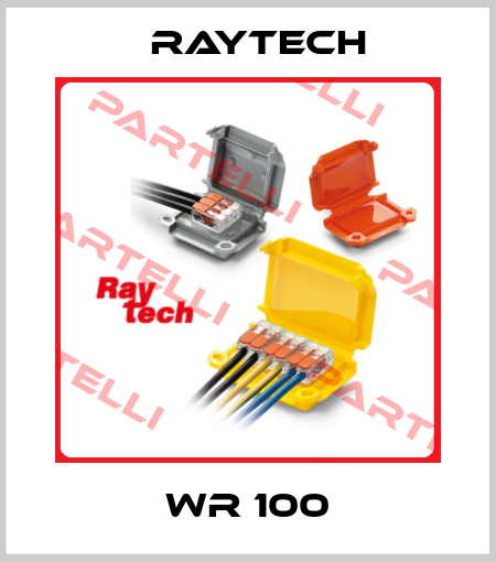 WR 100 Raytech