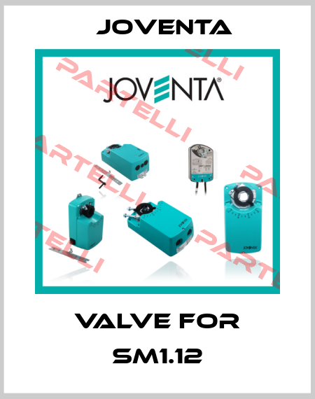 valve for SM1.12 Joventa