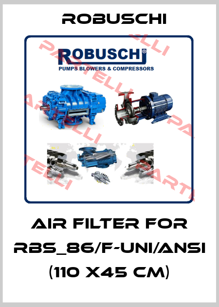 air filter for RBS_86/F-UNI/ANSI  (110 x45 cm) Robuschi