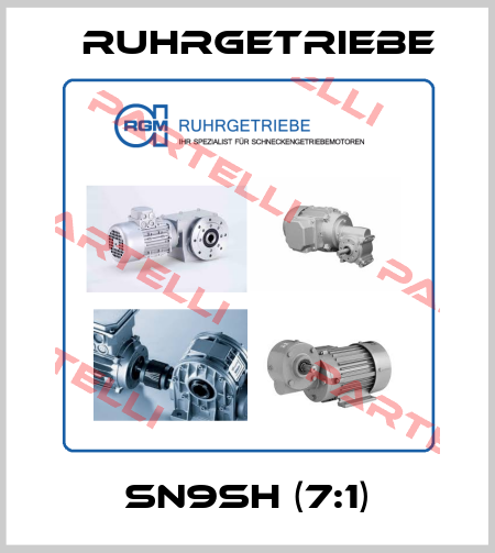 SN9SH (7:1) Ruhrgetriebe