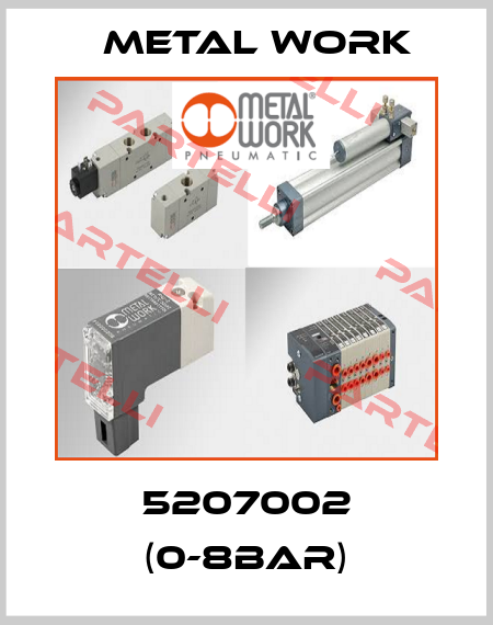 5207002 (0-8bar) Metal Work