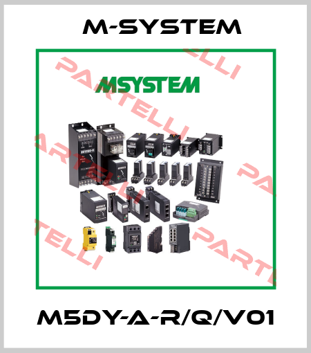 M5DY-A-R/Q/V01 M-SYSTEM