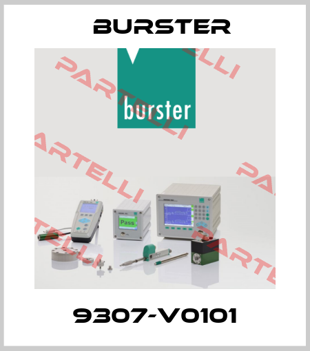 9307-V0101 Burster