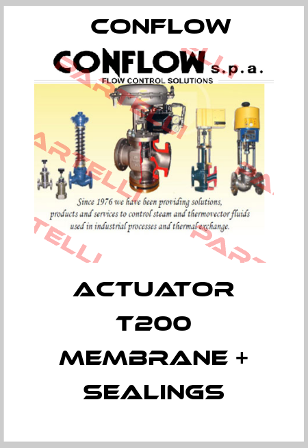 Actuator T200 Membrane + Sealings CONFLOW