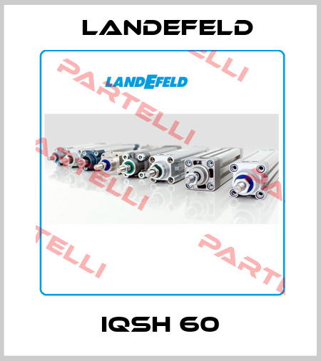IQSH 60 Landefeld