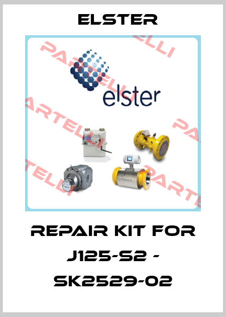 Repair kit for J125-S2 - SK2529-02 Elster