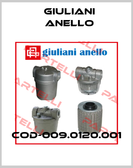 COD-009.0120.001 Giuliani Anello