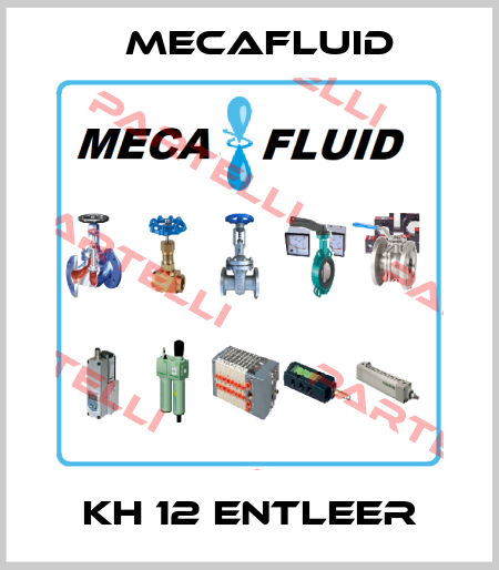 KH 12 ENTLEER Mecafluid