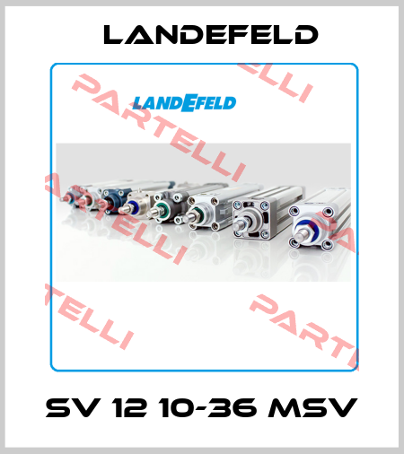 SV 12 10-36 MSV Landefeld