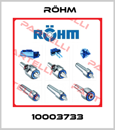 10003733 Röhm