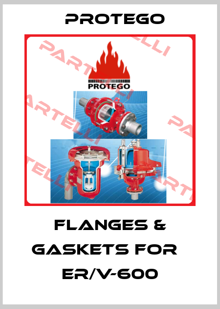 FLANGES & GASKETS for   ER/V-600 Protego