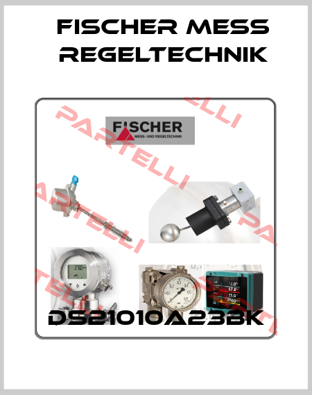 DS21010A23BK Fischer Mess Regeltechnik