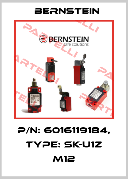 P/N: 6016119184, Type: SK-U1Z M12 Bernstein