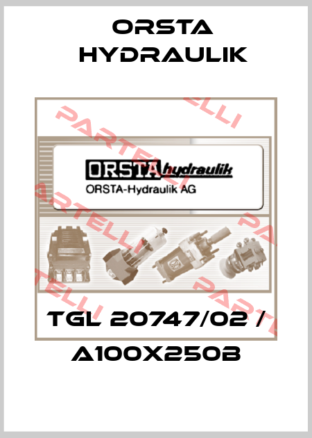 TGL 20747/02 / A100x250B Orsta Hydraulik
