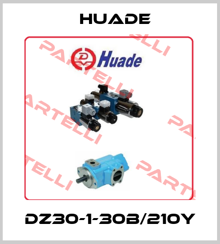 DZ30-1-30B/210Y Huade