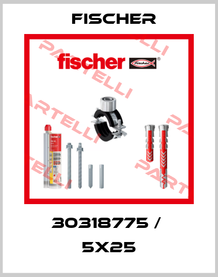 30318775 /  5x25 Fischer