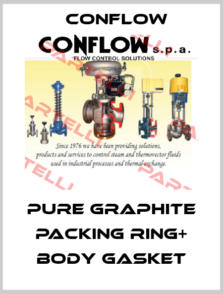 PURE GRAPHITE PACKING RING+ BODY GASKET CONFLOW