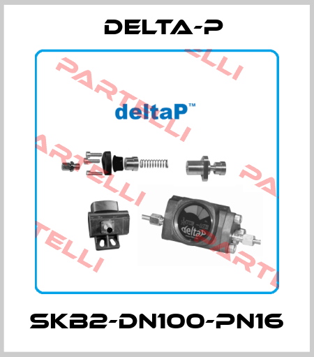 SKB2-DN100-PN16 DELTA-P
