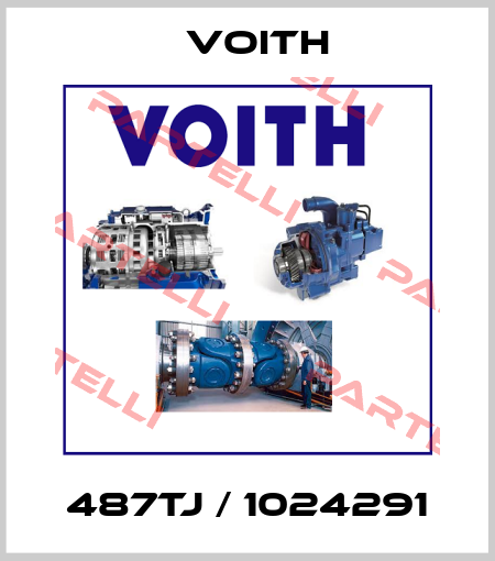 487TJ / 1024291 Voith