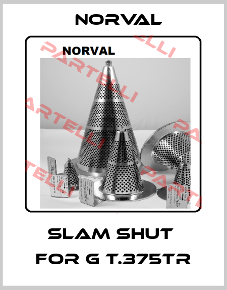 slam shut  for G T.375TR Norval