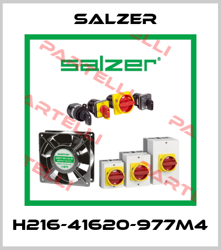 H216-41620-977M4 Salzer