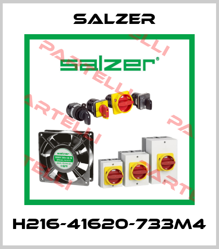 H216-41620-733M4 Salzer