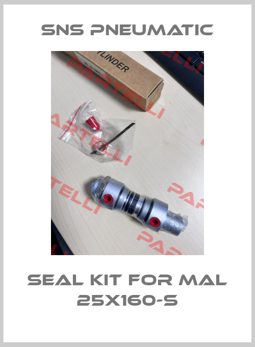 seal kit for MAL 25X160-S SNS Pneumatic