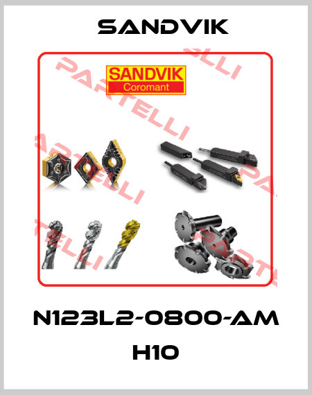 N123L2-0800-AM H10 Sandvik